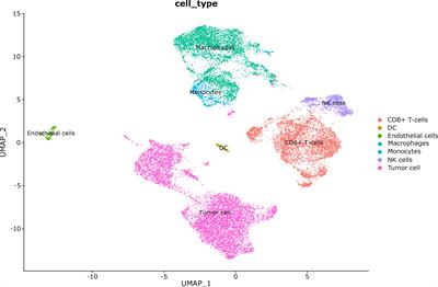 Gastrointestinal stromal tumors regulate macrophage M2 polarization through the MIF/CXCR4 axis to immune escape